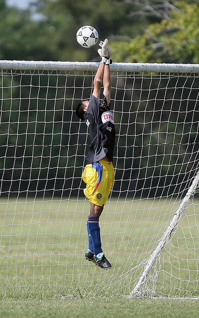 而爱德华兹 而爱德华兹