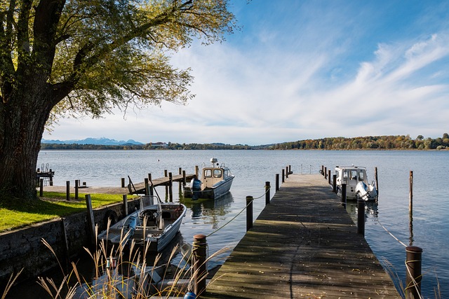 策的启示 策的启示