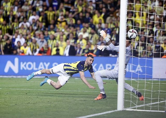 中屡见不鲜 中屡见不鲜